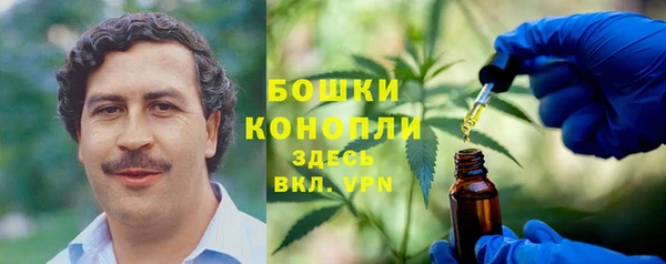 гашик Белокуриха