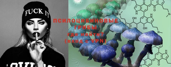 винт Баксан