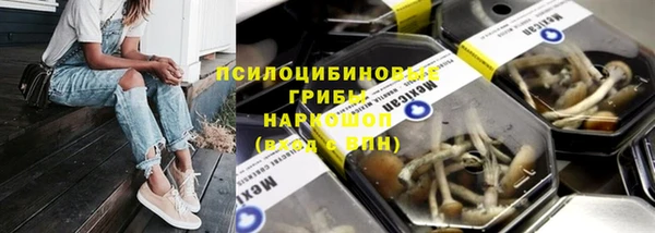 гашик Белокуриха