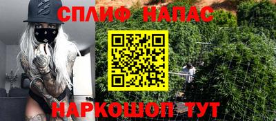 ПСИЛОЦИБИНОВЫЕ ГРИБЫ Изобильный