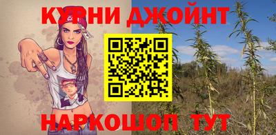 гашик Ирбит