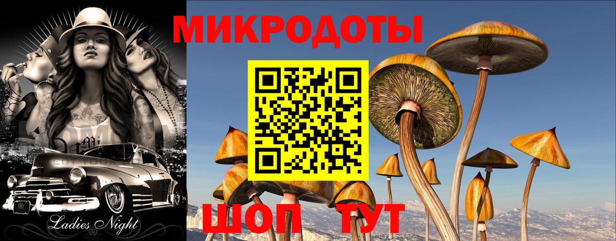 Галлюциногенные грибы Psilocybine cubensis Луховицы