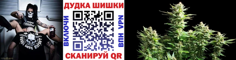 где можно купить наркотик  Луховицы  Бошки Шишки SATIVA & INDICA 